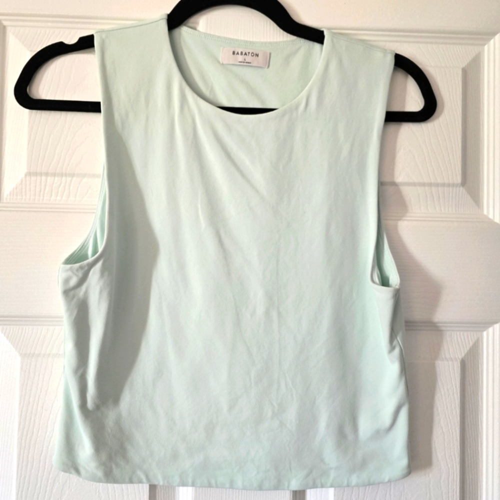 Babaton Aritzia Cropper Top